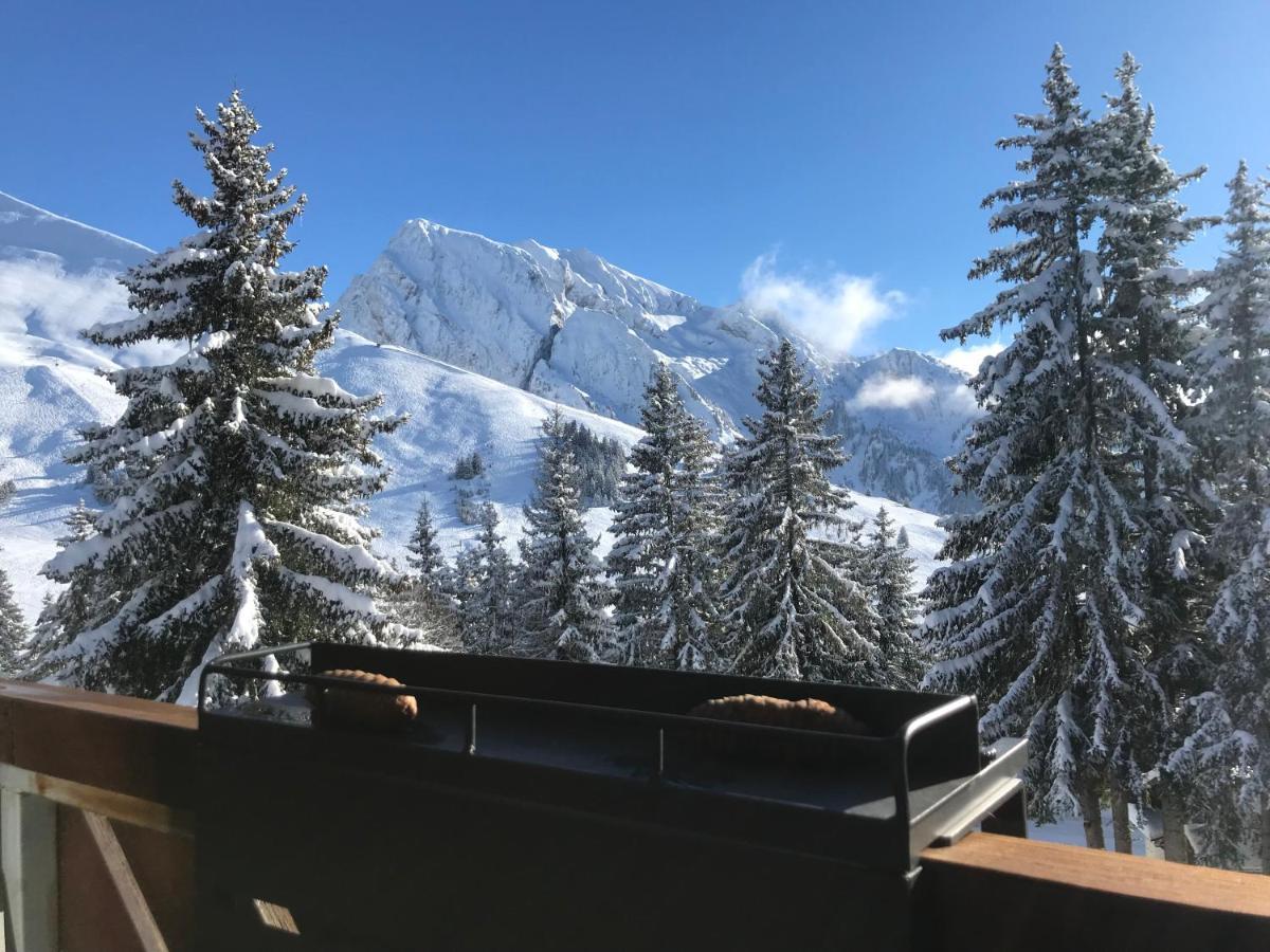 Appartement T2 Col De Merdassier Au Pied Des Pistes Manigod Eksteriør bilde